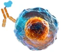 Drug Discovery Cytokines